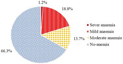 The magnitude of anemia and its associated factors among pregnant women in Hawela Tula Sub-city of Hawassa, Hawassa, Ethiopia